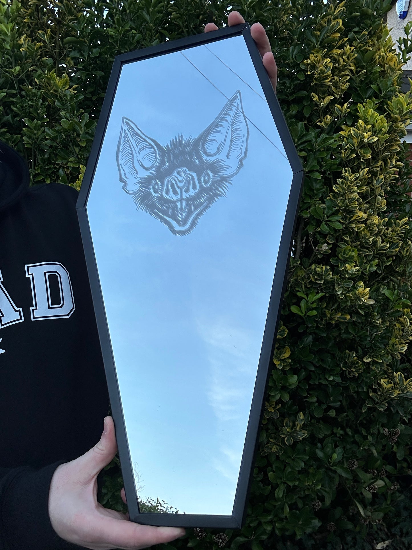 Coffin Mirror with Bat etching