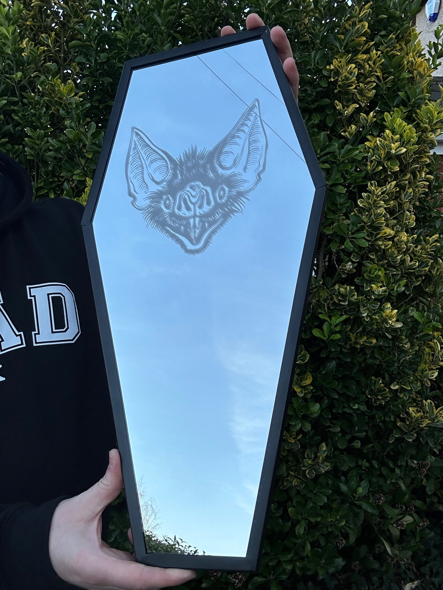 Coffin Mirror with Bat etching