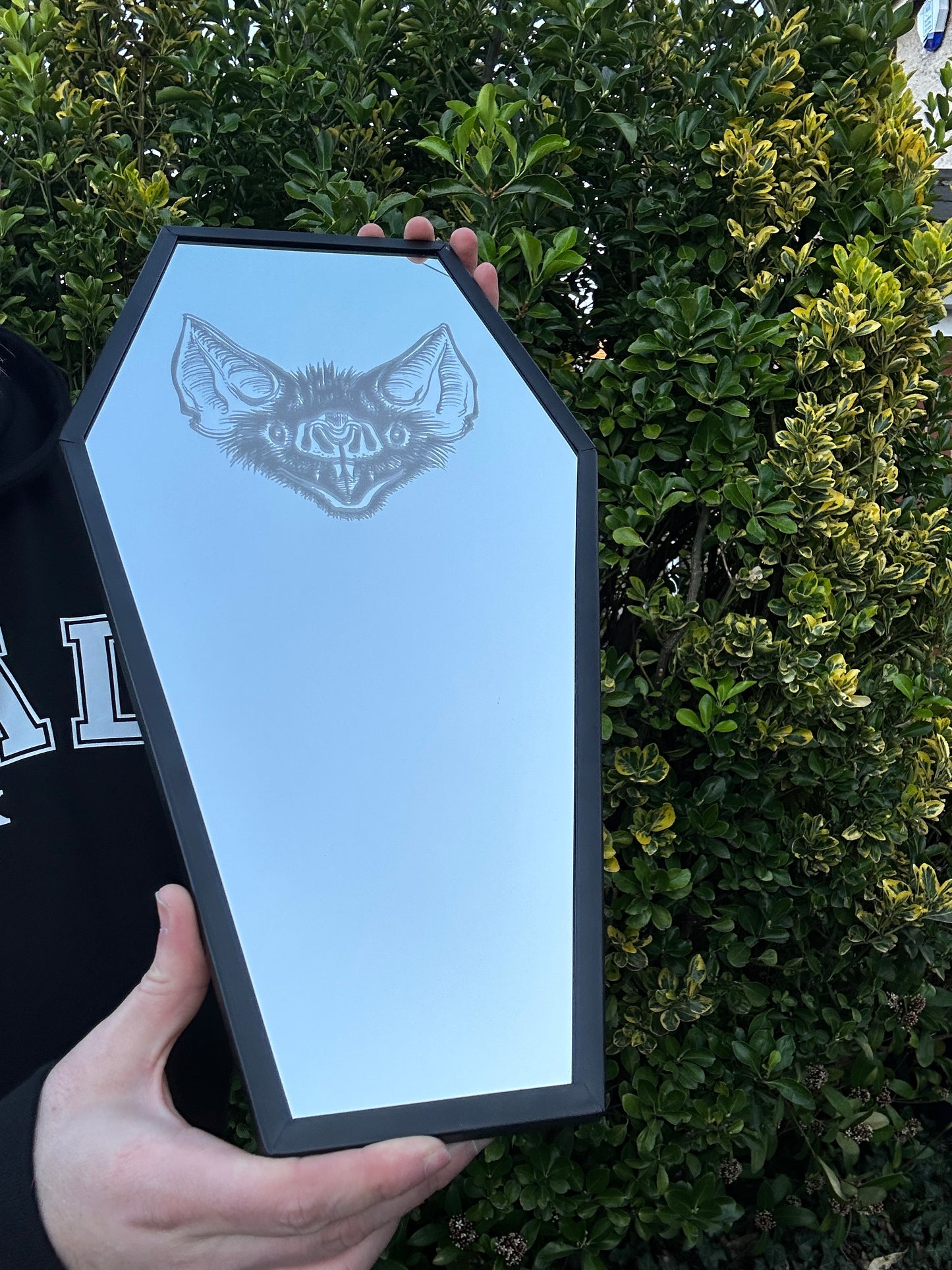 Coffin Mirror with Bat etching