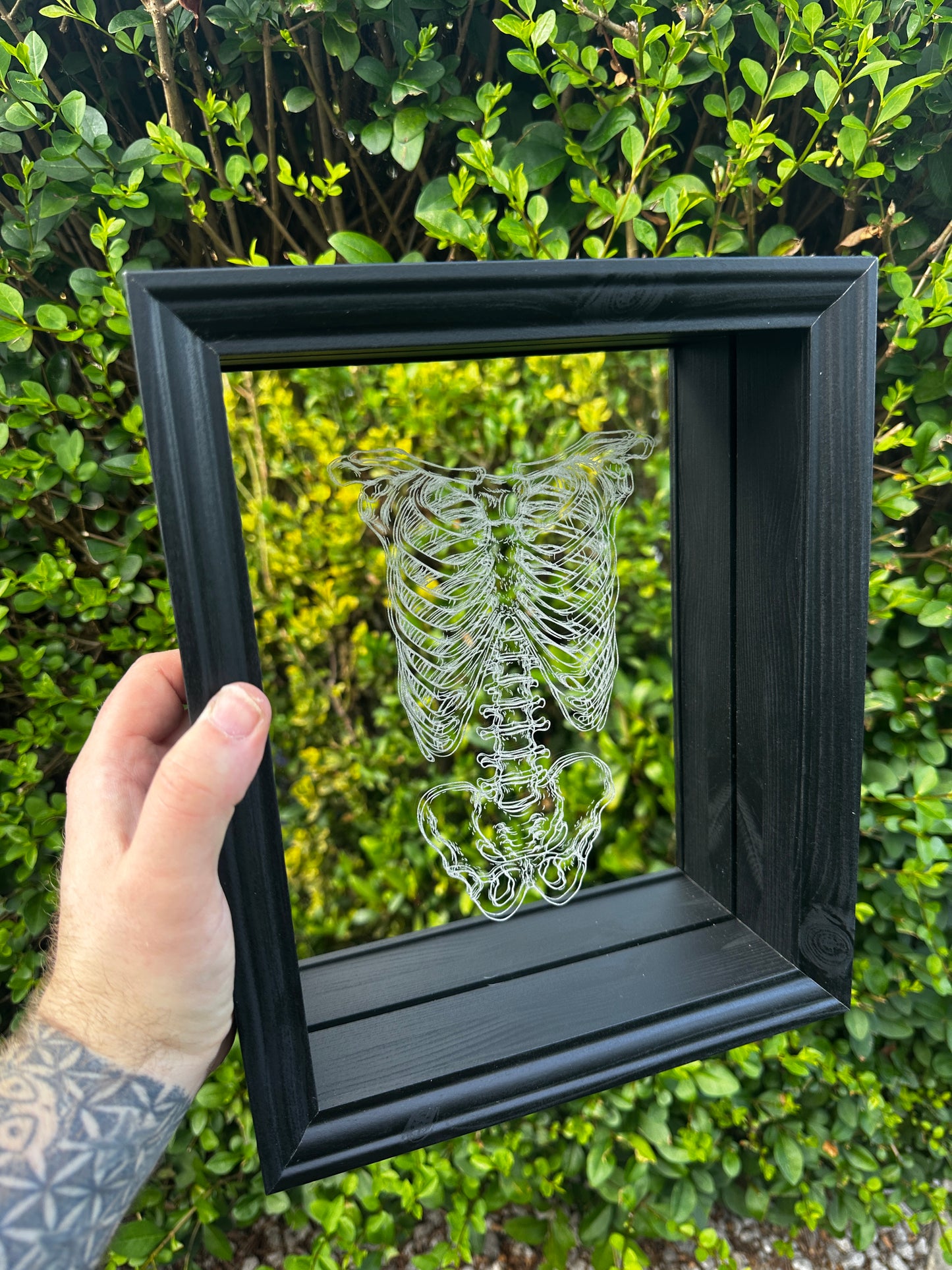 Rib and Torso Etched Mirror