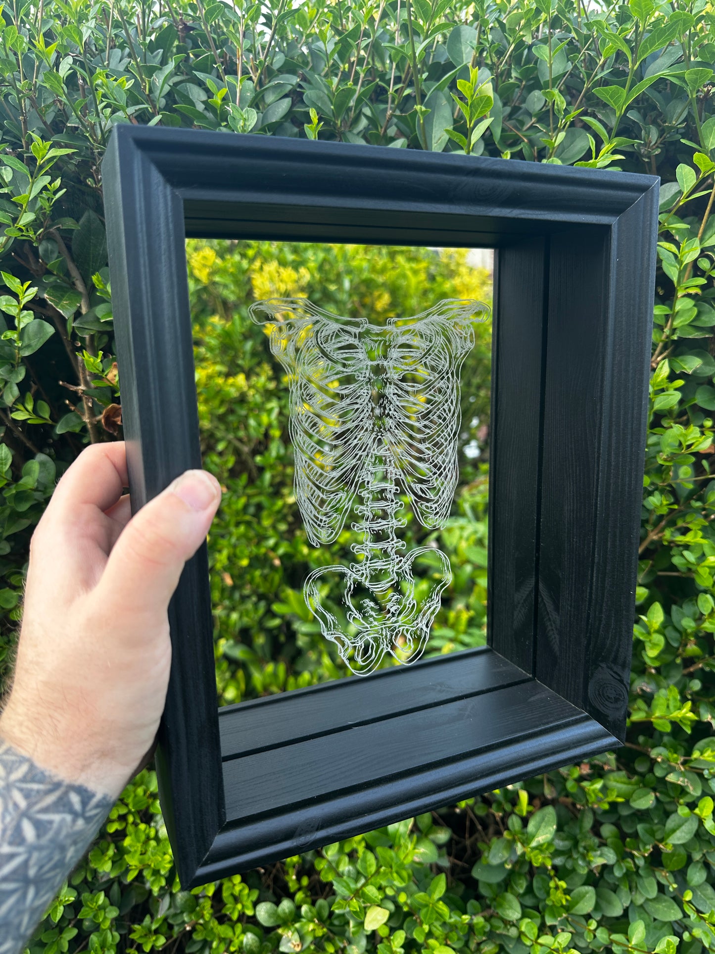Rib and Torso Etched Mirror