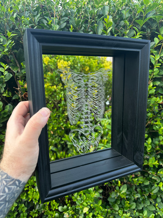 Rib and Torso Etched Mirror